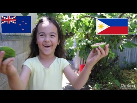 download lagu mp3 mp4 Figs New Zealand, download lagu Figs New Zealand gratis, unduh video klip Figs New Zealand