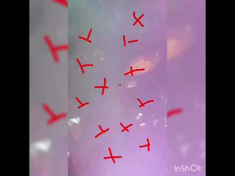 Yegaron lo greti maniga