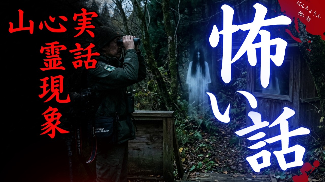 【実話の怖い話/作業用】「野鳥観察」【怪談朗読/聞き流し/睡眠用】心霊現象と山と心霊動画にまつわる本当にあった怖い話