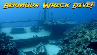 Diving the Hermes Wreck Bermuda | JONATHAN BIRD&#39;S BLUE WORLD