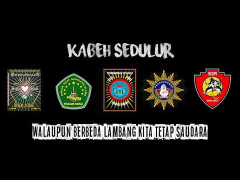 AWAKE DEWE KABEH SEDULUR (sh terate-pagar nusa-sh winongo-tapak suci-kera sakti)