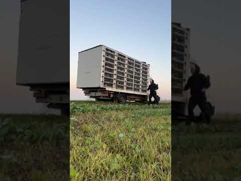 Lansare Medyka pui - 29.09.2023