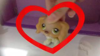 &quot;Lovesick&quot; Fan Video