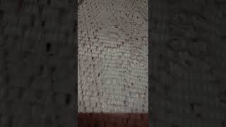 Download lagu jadilah 100milyar orang mengaminkan di waktu yang berkah ini#subscribe#sholawat#sejuk#sholawatsejuk mp3