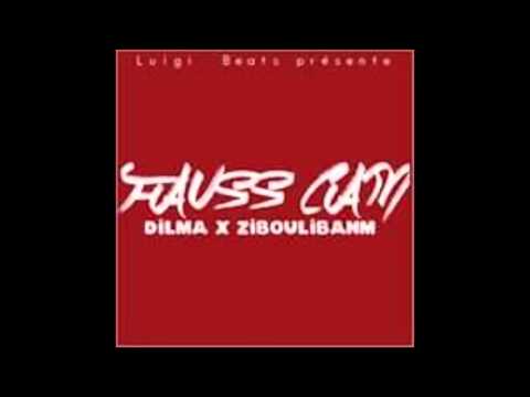ZIBOULIBANM x DILMA "FAUSS CAM "2016