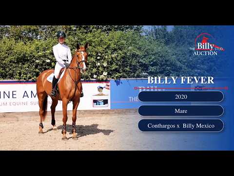 Billy Fever