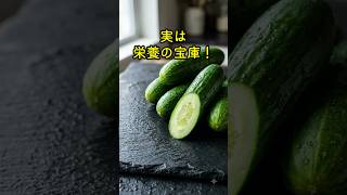 実は栄養たっぷり！きゅうりの本当の実力  #健康 #健康習慣 #栄養 #食材 #ヘルシー #健康情報