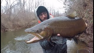 Fishing Small Creeks for The Biggest Trout Ive Ever Seen!!