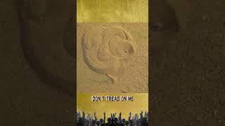 Download lagu Don't Tread On Me. #Shorts mp3