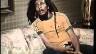 Bob Marley - Babylon system