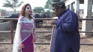 Numberdar Farm Walo Ki Gaon Bich D | Rocket | Makhu | New Top Funny | Punjabi Comedy Video | Chal TV