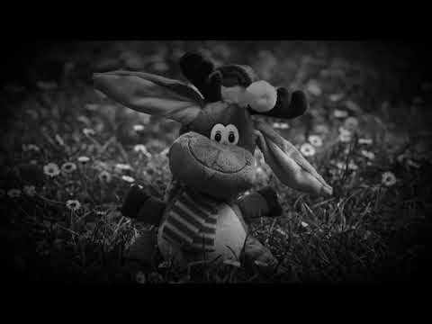 Mdoli aliefanya mambo ya ajab ni kitu cha kushangaza sana