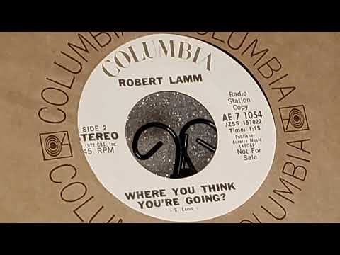 Robert Lamm-Where You Think You're Going? (public service announcement promo 45)