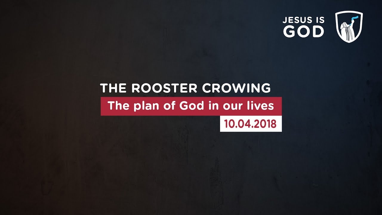 Thumbnail of video: The plan of God in our lives