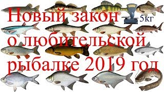Допустимые размеры рыбы для любительской рыбалки