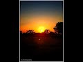 Mayakam Enna BGM WhatsApp Status Tamil