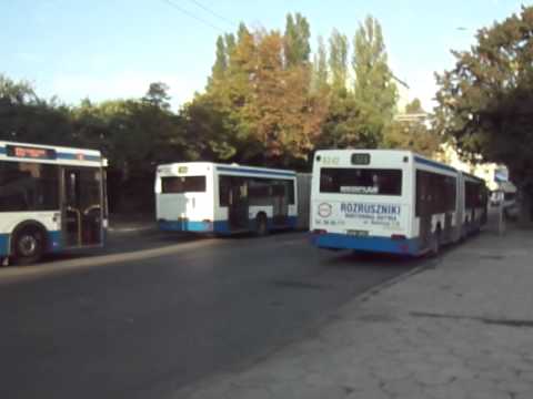 Neoplan N4007 na linii 204