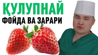ҚУЛУПНАЙНИ ФОЙДА ВА ЗАРАРИ ҲАҚИДА ИСЧАНОВ 