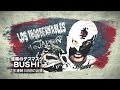 BOSJ24 BUSHI PV