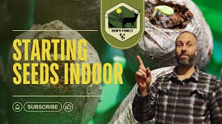 How to Use Jiffy Peat Pellets | Easy Seed Starting Guide for Beginners