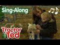 Sheep Milking Song 🐑 | Tractor Ted Sing-Along 🎶 | Tractor Ted Official Channel