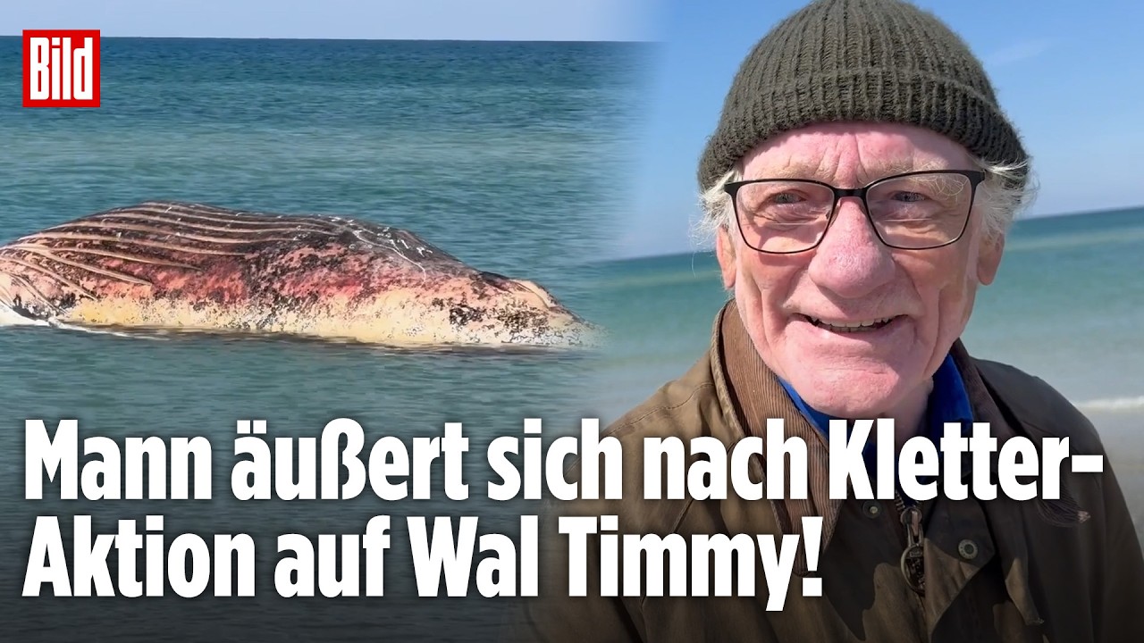 WAL TIMMY: Schaulustiger klettert auf toten Buckelwal – Jetzt spricht der Mann!