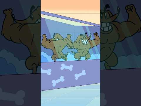 Cats VS Dogs (Write in the Comments) DANS & SNAD 24: Finding SNAD a Pet