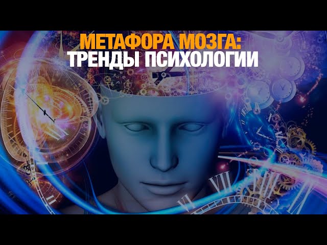 Метафора мозга: тренды психологии