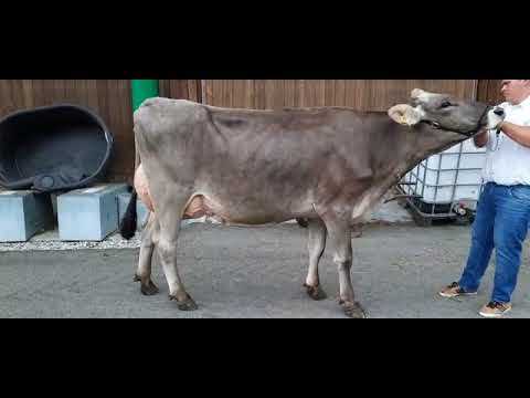 9 Paula DE 09 530 62232 Martin & Ines Sichler