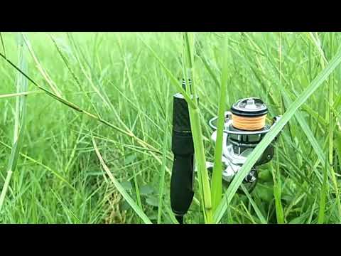 tmbk j4ti 4gung spot