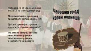 Ceresna Se Od Koren, Kornese - Macedonian Song