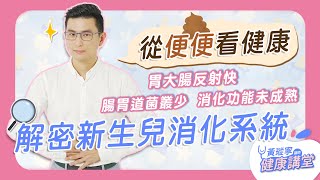 [寶寶] 費雪安撫椅使用年齡與炸屎補奶疑問