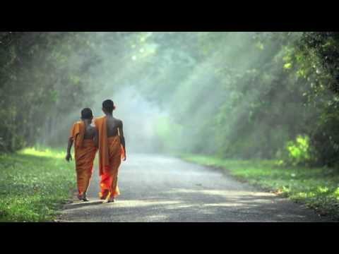 DIA PARA AGIR - ESBB - 10 de Dezembro