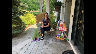 Let's Grow: Mosquito Control ENGLISH GARDENS