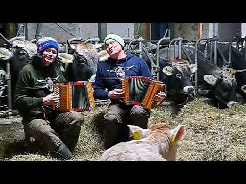 s'Chochä mit Schwyzerörgeli - Bajazzo  🇨🇭