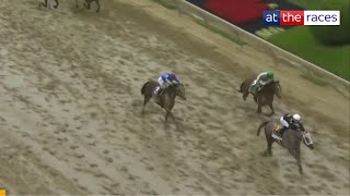 Seize The Grey wins the PREAKNESS Stakes as Triple Crown hope Mystik Dan is second!