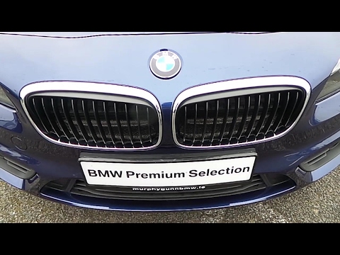 162D17320 - 162D17320 BMW 218d SE Gran Tourer