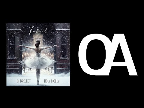 DJ PROJECT x Holy Molly - Fulgul (Official Audio)