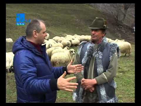 Dîrmoxa, un cătun la marginea timpului