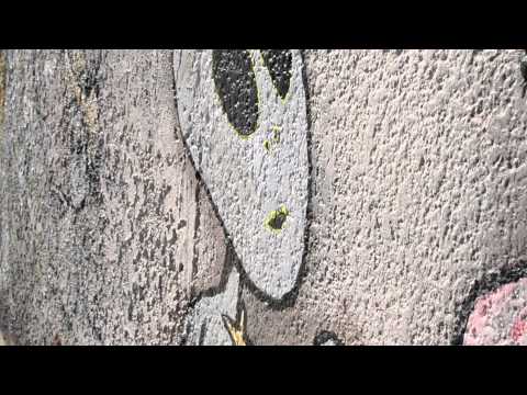 Lucky Dub - Move On (Dubmatix Rub a Dub Remix) - Tour Video