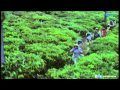 Varango Varango HD Song
