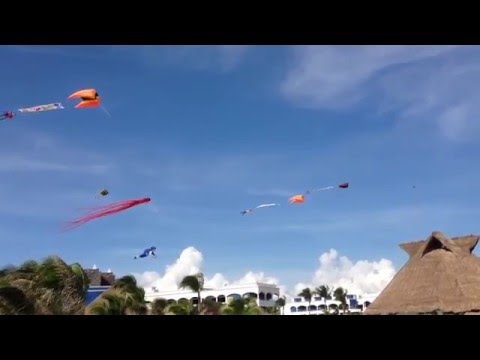 Festival de Papalotes para HardRock Hotel, Playa del Carmen QRoo