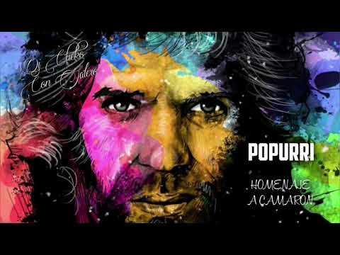POPURRI 2020 - FLAMENCO SALSERO REMIX HOMENAJE A CAMARÓN DJ CHEKO CON SALERO