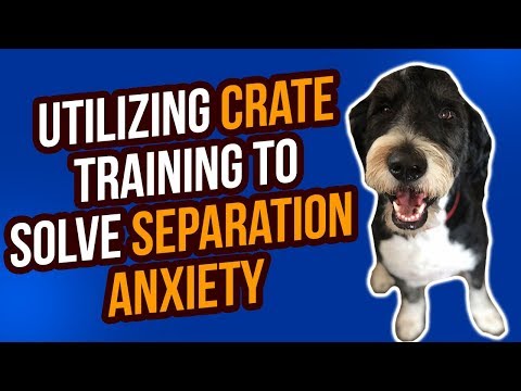 YouTube video about: How to crate train a rescue dog with separation anxiety?