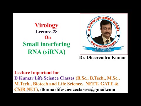 Virology - Small interfering RNA (siRNA)/SiRNA/RNA interference by Dr Dheerendra  Kumar