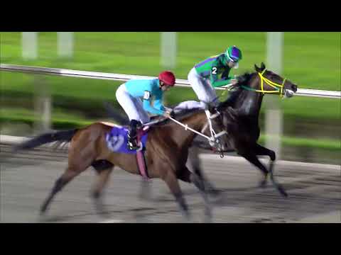 221125 c08 - 1° ARLEQUIN JF