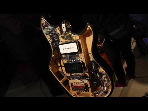 Guitars & Fretted Instruments at The 2017 NAMM Show