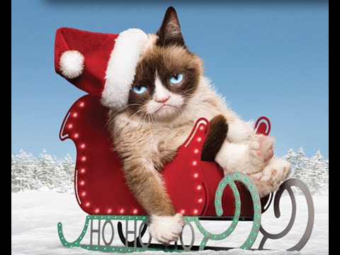 Grumpy Cat's Worst Christmas Ever Commentary Teaser