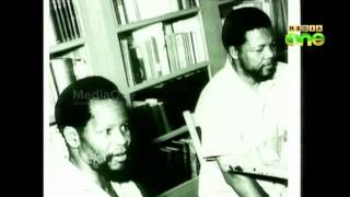 Nelson Mandela-Anti-Apartheid Icon