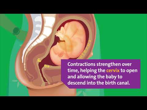 YouTube video about: How many calories do you burn during labor?
